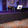 Single Height Stage Skirting Single Height Stage Skirting