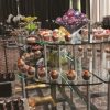 Table Top Risers