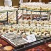 Modular Buffet Tables