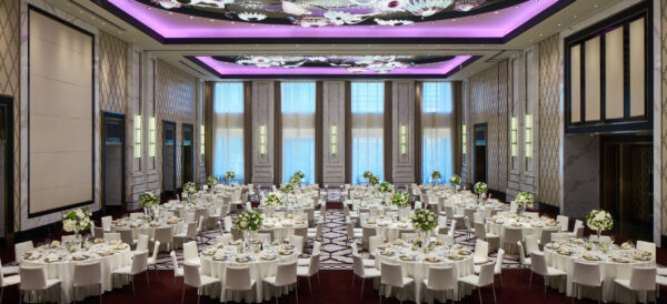 Conference and Banqueting Chairs