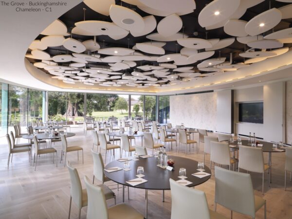 Conference and Banqueting Chairs