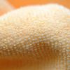 Microfibre Cloths Microfibre Cloths